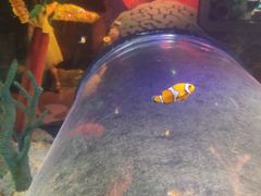 -沈阳海洋探索中心