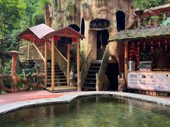 -天门沟九州驿站树上汤泉