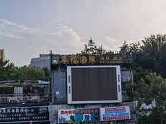 -幸福门