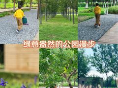 -汉长安城未央宫国家考古遗址公园