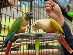 -北京野生动物园