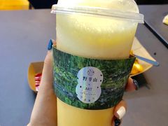 -野萃山·潮汕厚果汁(十亩地店)