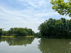 -桤木河湿地公园