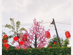 -枇杷园食为鲜火锅(南山店)