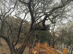 -长辛店二七公园