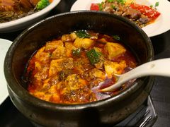 -陈麻婆豆腐总店