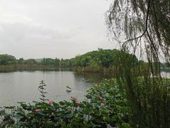 -上海市保健医疗中心