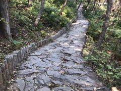 -北京上方山国家森林公园