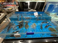 水产区-盒马鲜生(和谐广场店)