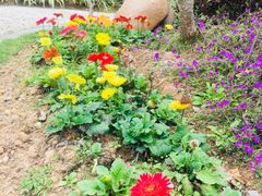 -中国移动南方基地