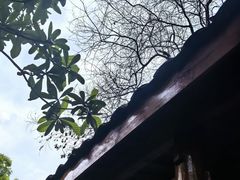 -安仁古镇