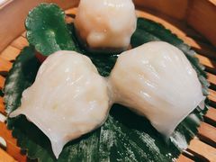 传统蒸虾饺-点都德·毕德寮
