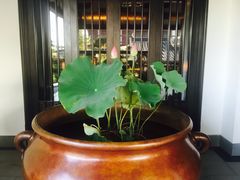 -西安华清御汤酒店