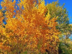 -哈尔滨文化公园