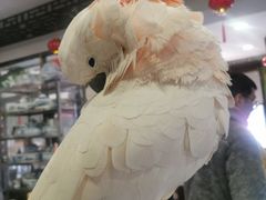 -四海楼(如皋定慧禅寺店)