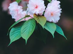 -江南大学(蠡湖校区)