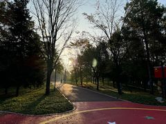 -黛秀湖公园