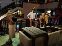 -布洛克德克萨斯国家历史博物馆