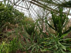 -亿利库布其七星湖沙漠生态旅游区