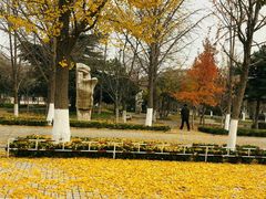 -万达广场(泰安泰山店)