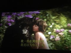 -金逸影城(中关村店)