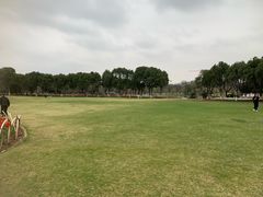 -院士公园