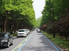 -黄海国家森林公园