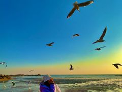 -老虎石海上公园