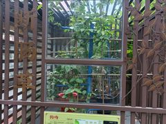 -广州神农草堂中医药博物馆