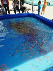 -大望京儿童游乐场