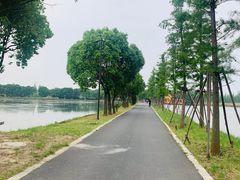 -华东政法大学(松江校区)