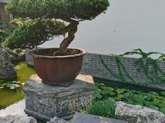 -水绘园