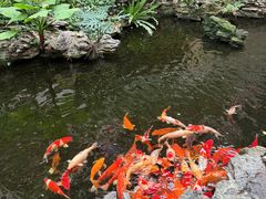 -白天鹅宾馆-宏图府餐厅