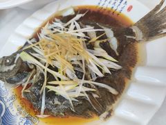 清蒸小多宝鱼-北戴河庆山饭店·海鲜砂锅粥(北戴河黑石路店)