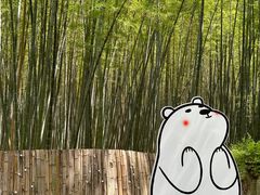 -同里国家湿地公园