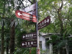 -灵谷景区