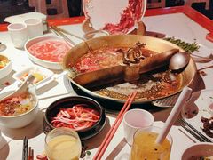-小龙翻大江文化火锅(宽窄店)