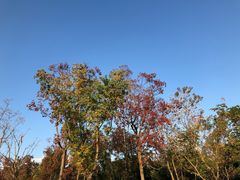 -上海长兴岛郊野公园