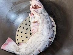 -老刘生态大鱼坊铁锅炖鱼(赛马场店)