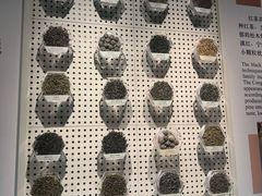 -中国茶叶博物馆(双峰馆区)