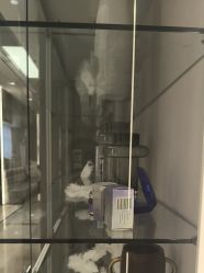 -杭州米兰柏羽医疗美容医院