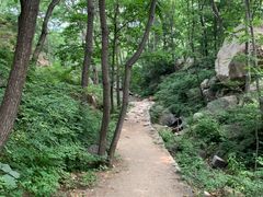 -大岭沟猕猴桃谷风景区