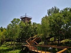 -东郊湿地公园