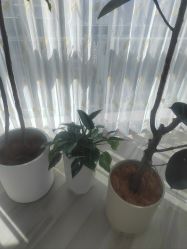 -HEYAN荷妍专业脱毛连锁机构