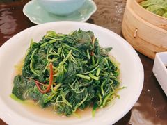 -五观堂素食(新华路店)