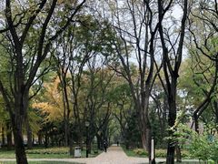 -玲珑塔公园