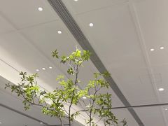 -金春禧(世茂国际广场店)