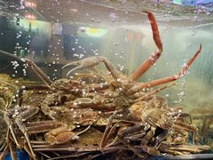 -蟹之国·精品蟹料理(极地店)