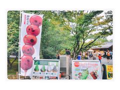 门面-豆政(金閣寺境内売店)