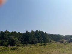 -海南热带雨林国家公园吊罗山景区